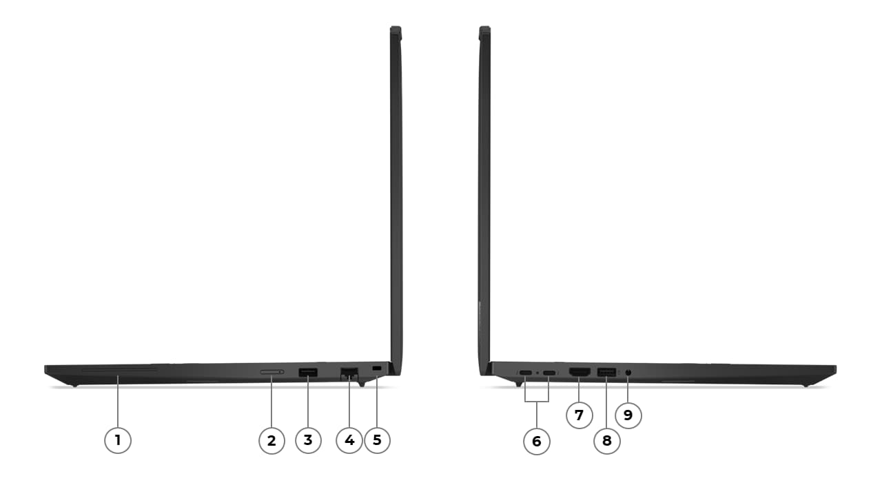 Beschreibung des Bildes